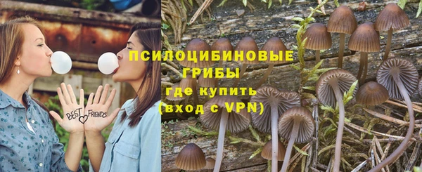 мескалин Алексин