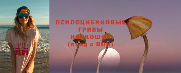 твердый Новокубанск