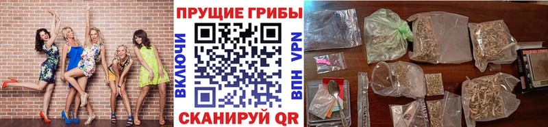 купить закладку  Никольск  Галлюциногенные грибы прущие грибы 